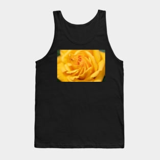 Morning dew on golden rose Tank Top